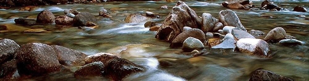 header-photo